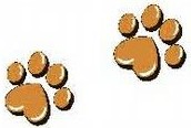 2 Paws