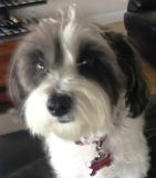 ABBY CLOSE UP