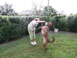 Anolan playing with Dusty