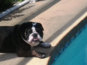 Lexie at the pool