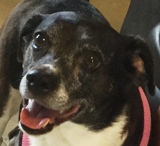 BELLA EMAIL SMALL