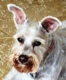 bELLA w 80 X 80
