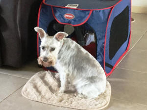 BELLA W WEB LARGE 4