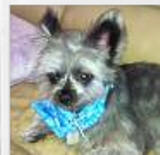BODHI EMAIL SMALL