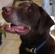 BUDDY 80X80