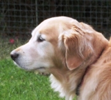 DUNCAN CLOSE UP