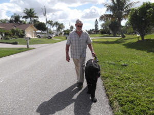 WALKING TOBY