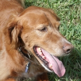 MAX CLOSE UP