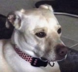 ZOEY EMAIL SMALL