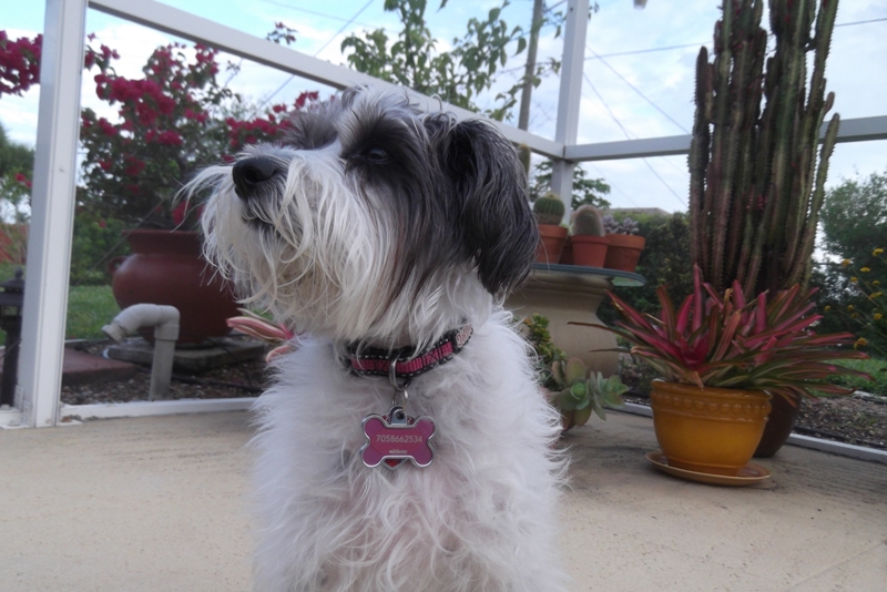 ABBY AT THE POOL