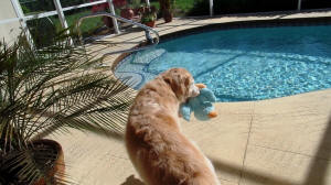 DUNCAN AT POOL
