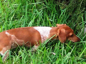 MOLLY CURIOUS