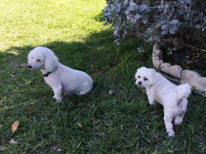 JILL & JACK DS 3