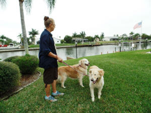 KALLY & PRINCE 1