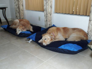 KALLY & PRINCE 7