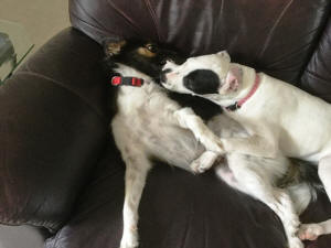LILA & MOLLY 5A