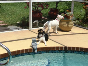 LILA & MOLLY WL 5