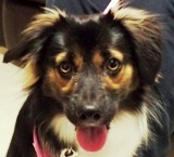 LILA SMALL EMAIL