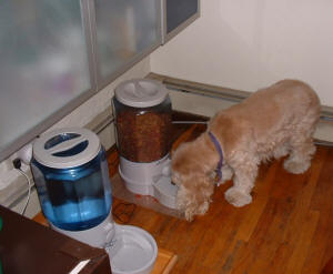 Linda comiendo