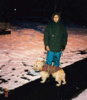 En noche nevada