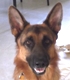 MAX (II)  80X80