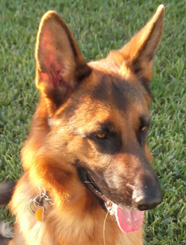 MAX II DOCUMENT SMALL