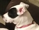 MOLLY U 80 X 80