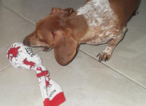 MOLLY WITH HER TOY