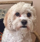 Quigley