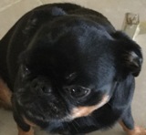 PENELOPE EMAIL SMALL