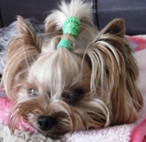 PIXIE