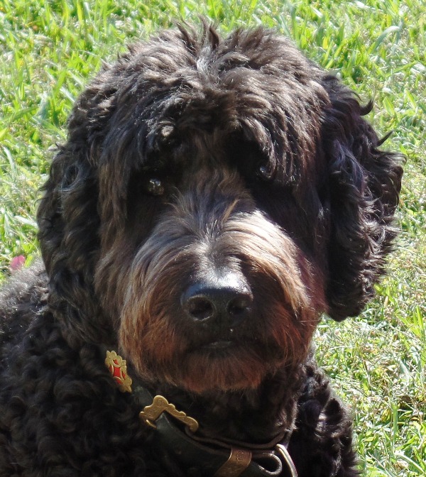 ROCKIE SMALL DOCUMENT