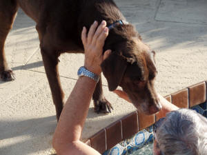 BUDDY AT THE POOL