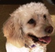 SOOKIE