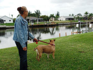 SWEET PEA AT THE CANAL
