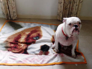 TAZ WL 4