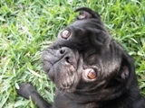 TOBY 17 EMAIL SMALL